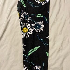 Lularoe Daisy Leggings Tall & Curvy